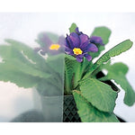 Greenhouse Poly Cover, 6 mil UVI - Charley's Greenhouse & Garden