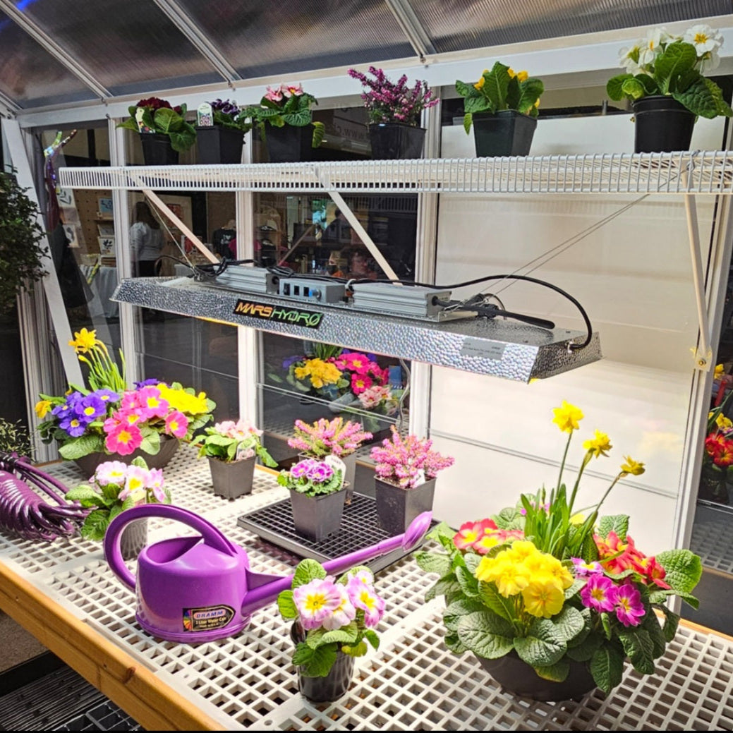 40" L Mars Hydro TSL-2000 LED Grow Light - Charley's Greenhouse & Garden