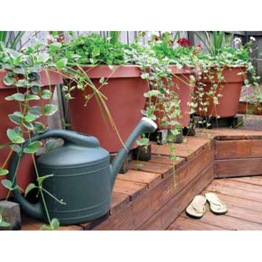 Economy Container Watering Kit - an image showing its outdoor usage