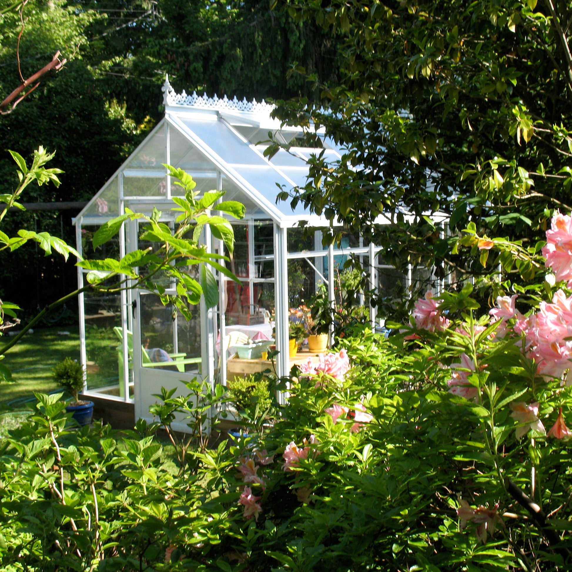 beautiful greenhouse