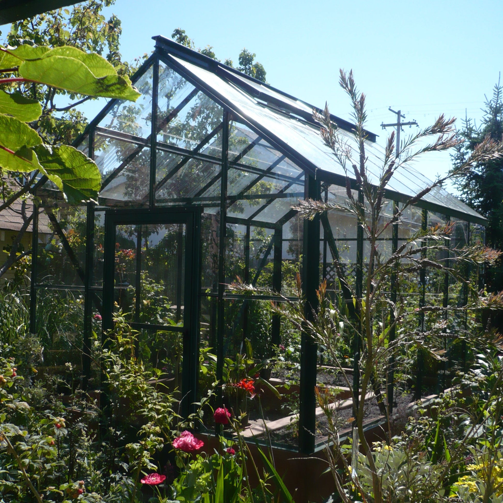 strong greenhouse
