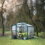backyard greenhouse
