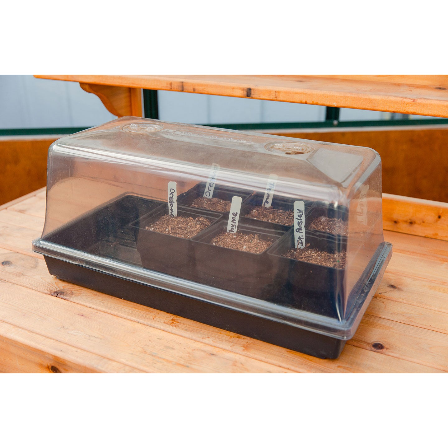 Mondi 7" Mini Greenhouse with Easy Vents - Charley's Greenhouse & Garden