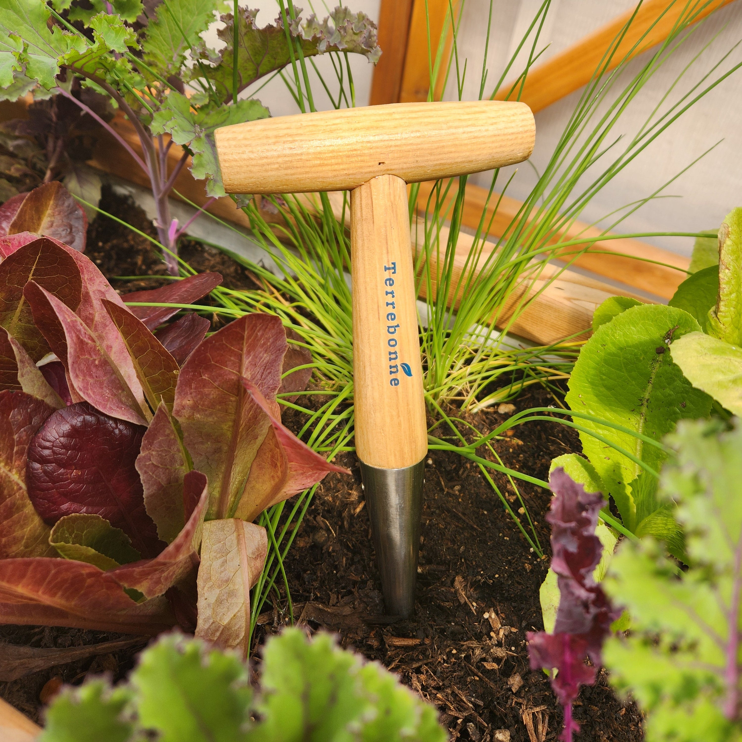 planting seeds tools 12" Traditional Stainless Dibbler