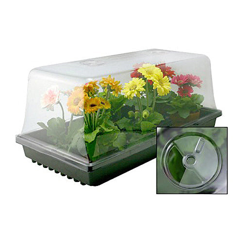 Mondi 7" Mini Greenhouse with Easy Vents - Charley's Greenhouse & Garden