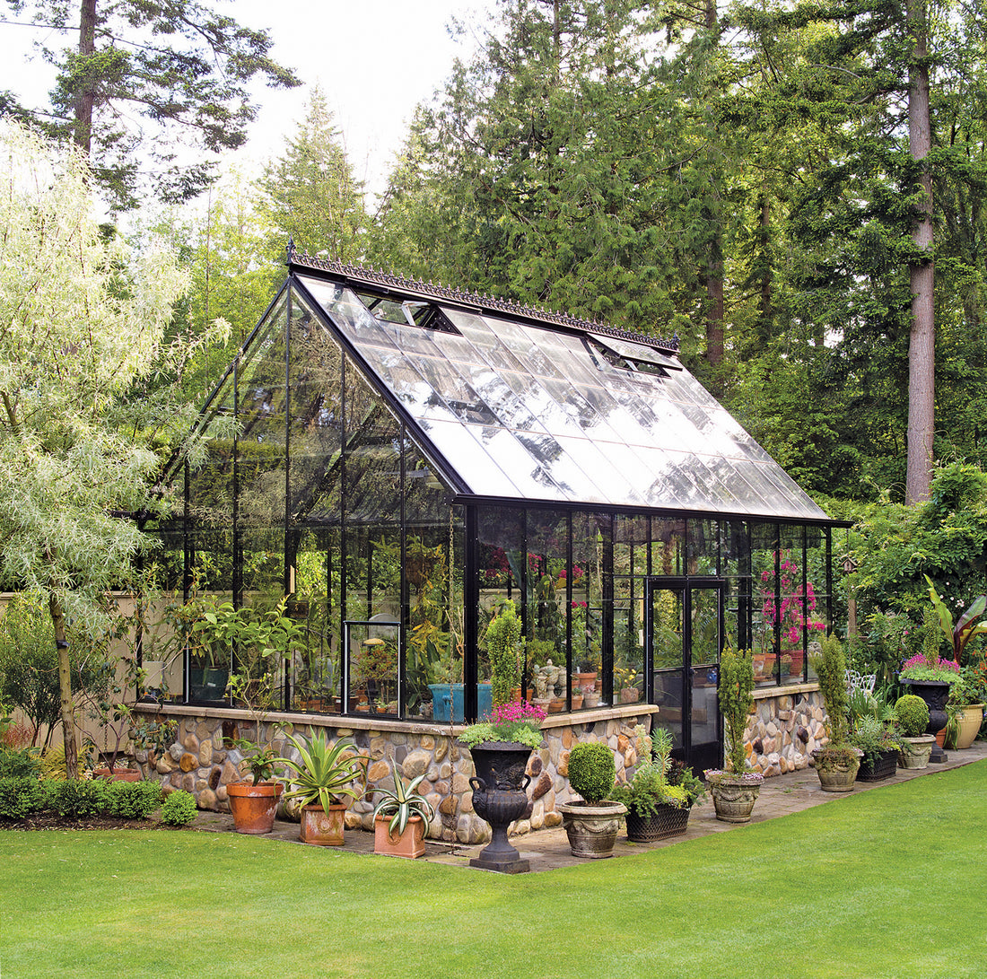 Growing in Your Greenhouse: Leafy/Salad Greens