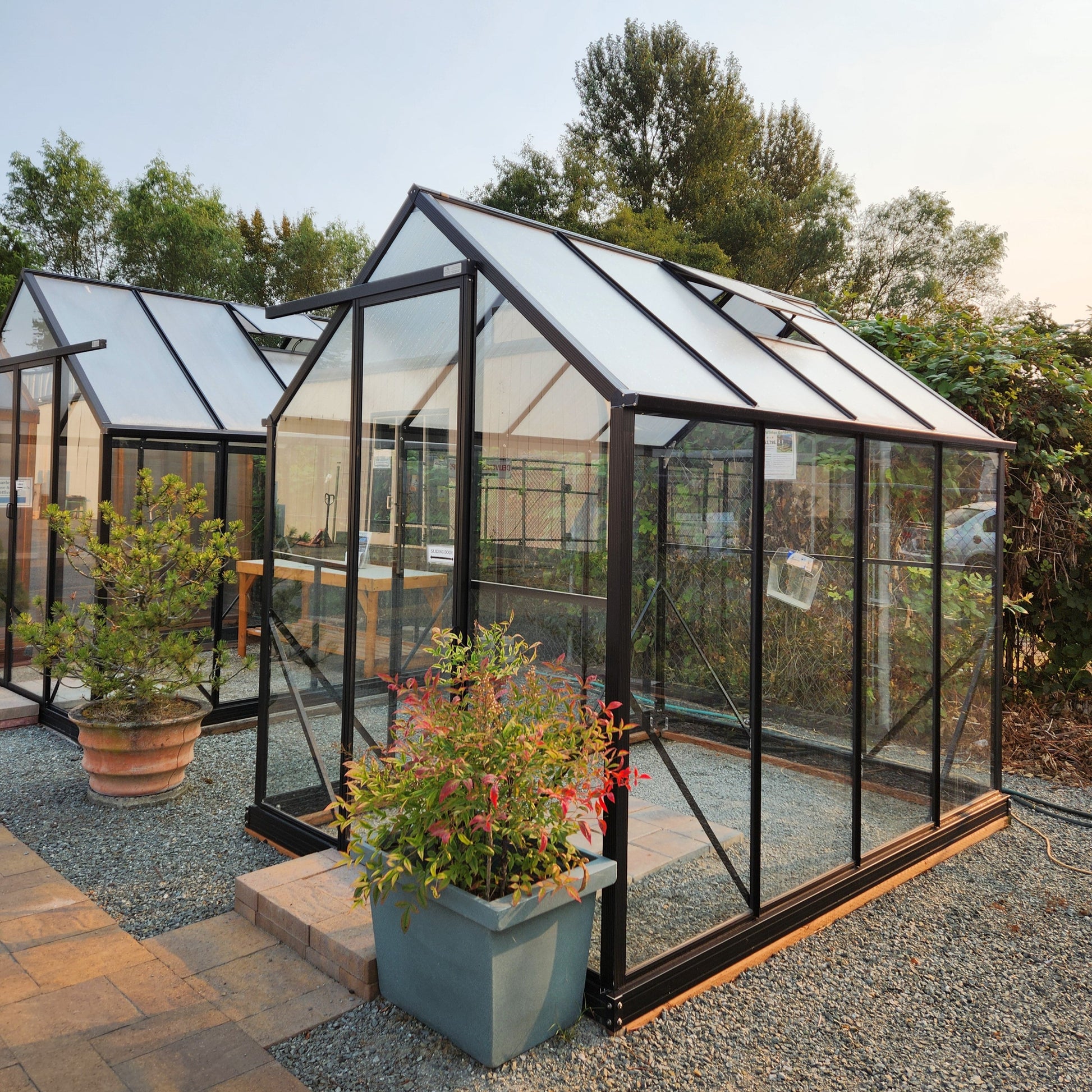 Winter Gardenz 6x8 Greenhouse