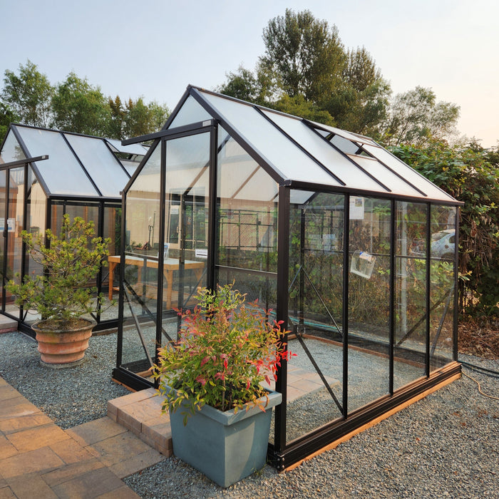 Winter Gardenz 6x8 Greenhouse