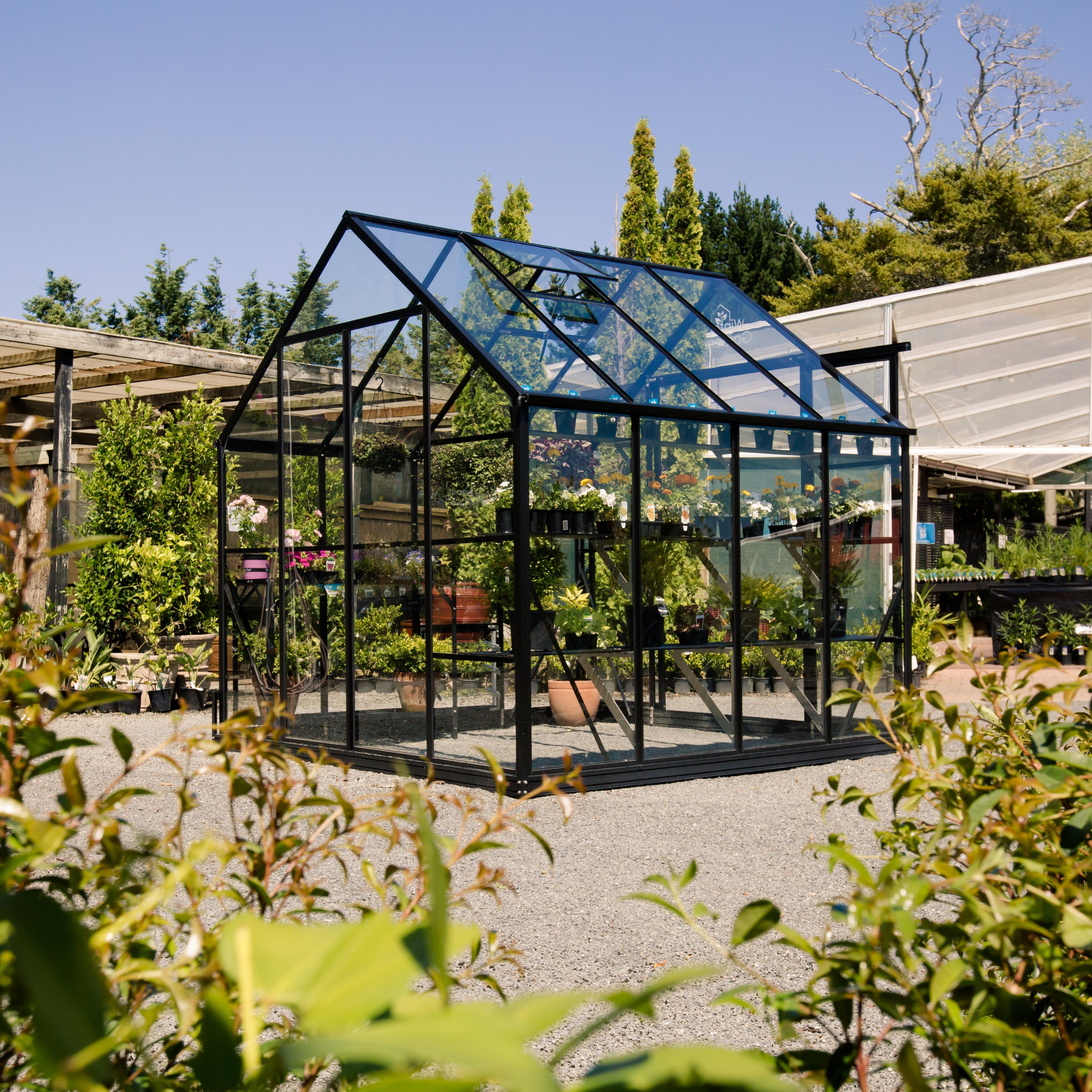 Winter Gardenz Greenhouse Winter Gardenz Greenhouse