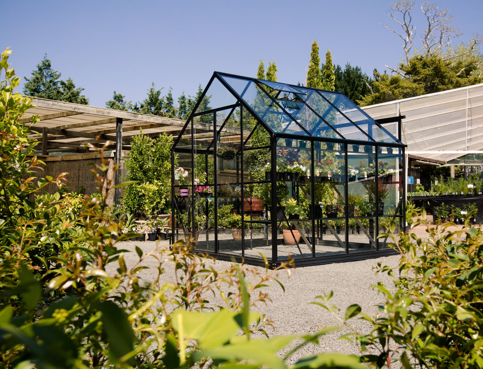 glass greenhouse