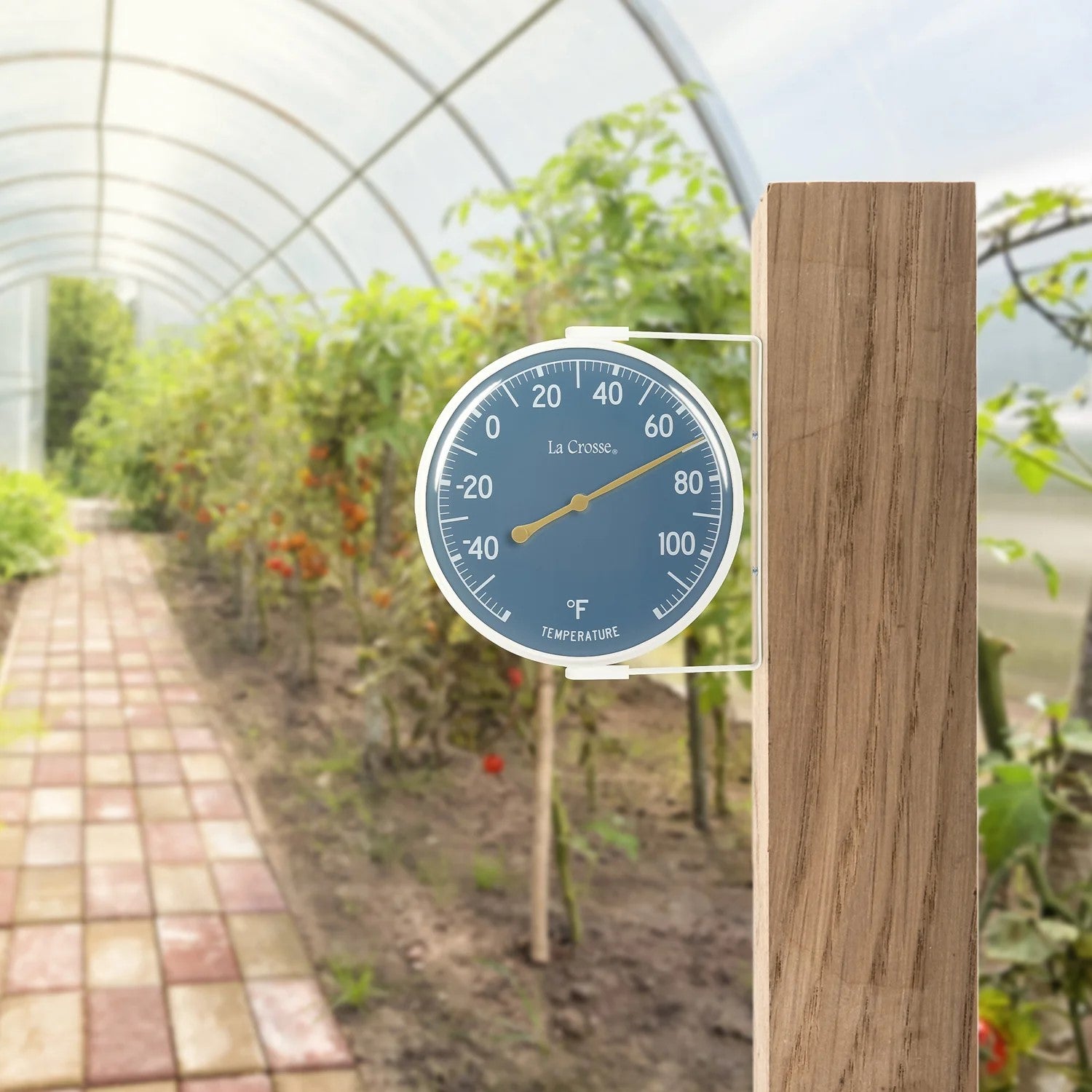 5" Dial Thermometer with Bracket -  image of the product mounted in a greenhouse