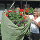 Frost Protek Plant Covers - Charley's Greenhouse & Garden