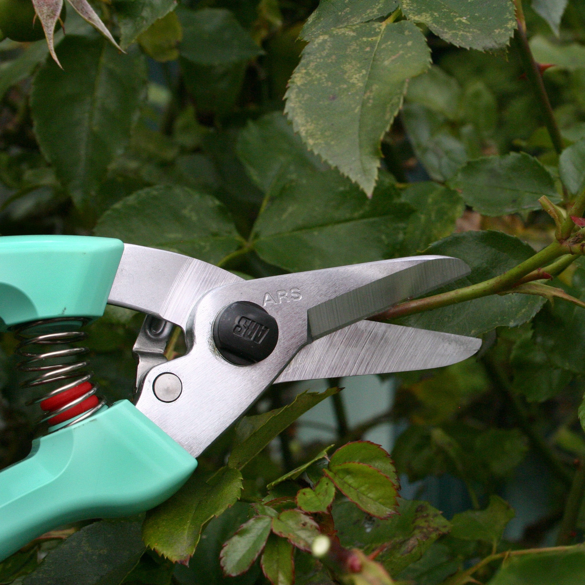 ARS 140DX All-Purpose Shears