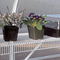 Charley's Wire Shelf with Braces in the color white holding up a few potted plants