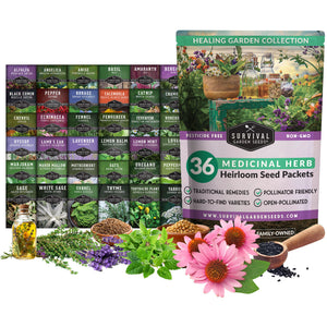 Medicinal Herb Heirloom Seed Packet Collection