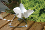 Chinook Caframo Greenhouse Fan on a table top