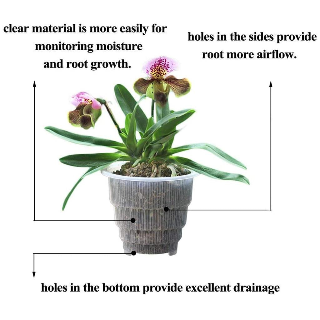 transparent orchid plant pots Clear Orchid Cone Pot, 5 Pack