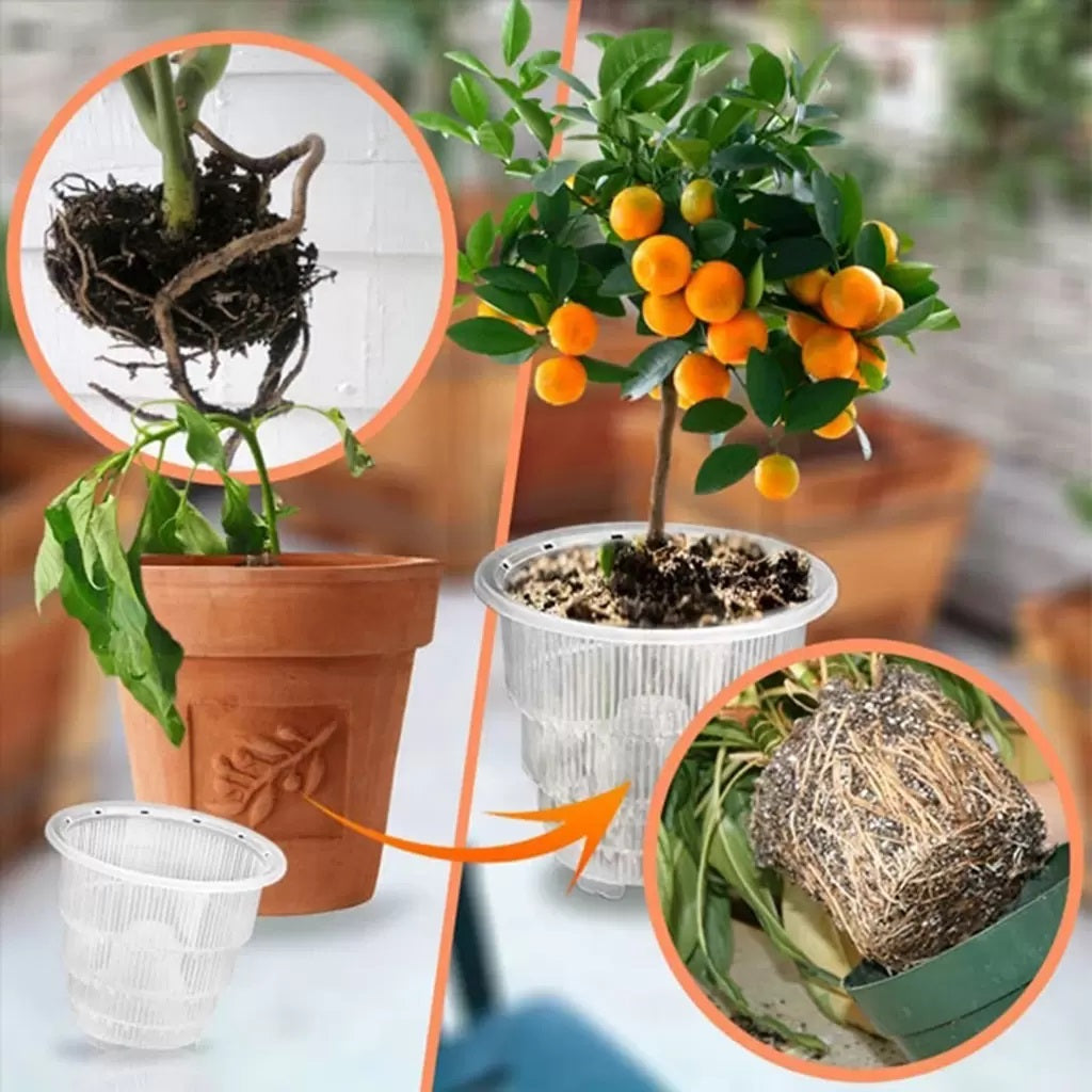 where to buy clear plant pots Clear Orchid Cone Pot, 5 Pack