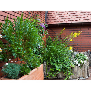 Deluxe Container Watering Kit: Image of the kit in use outdoors.