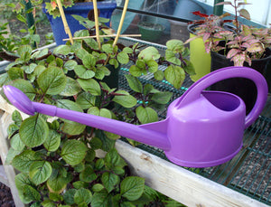 Dramm 2-Quart Watering Can image in the color purple placed outside