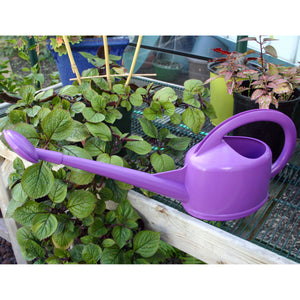 Dramm 2-Quart Watering Can image in the color purple placed outside