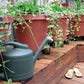 Economy Container Watering Kit - an image showing its outdoor usage
