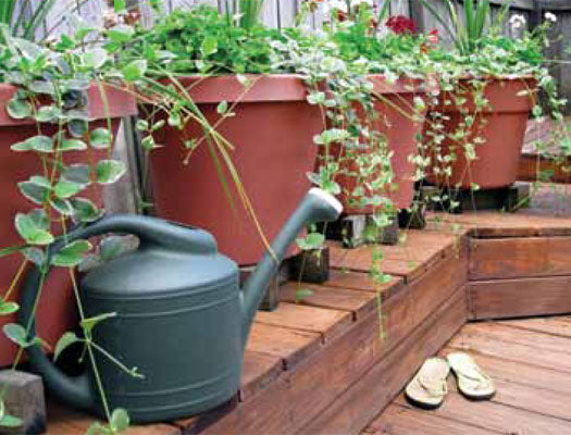 Economy Container Watering Kit - an image showing its outdoor usage