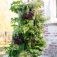 5 Tier GreenStalk Garden Original Vertical Planter - Basic Texture