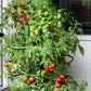 GreenStalk Garden Plant Support (Set of 3)