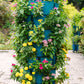 7 Tier GreenStalk Garden Leaf Vertical Planter - Basket Weave Texture