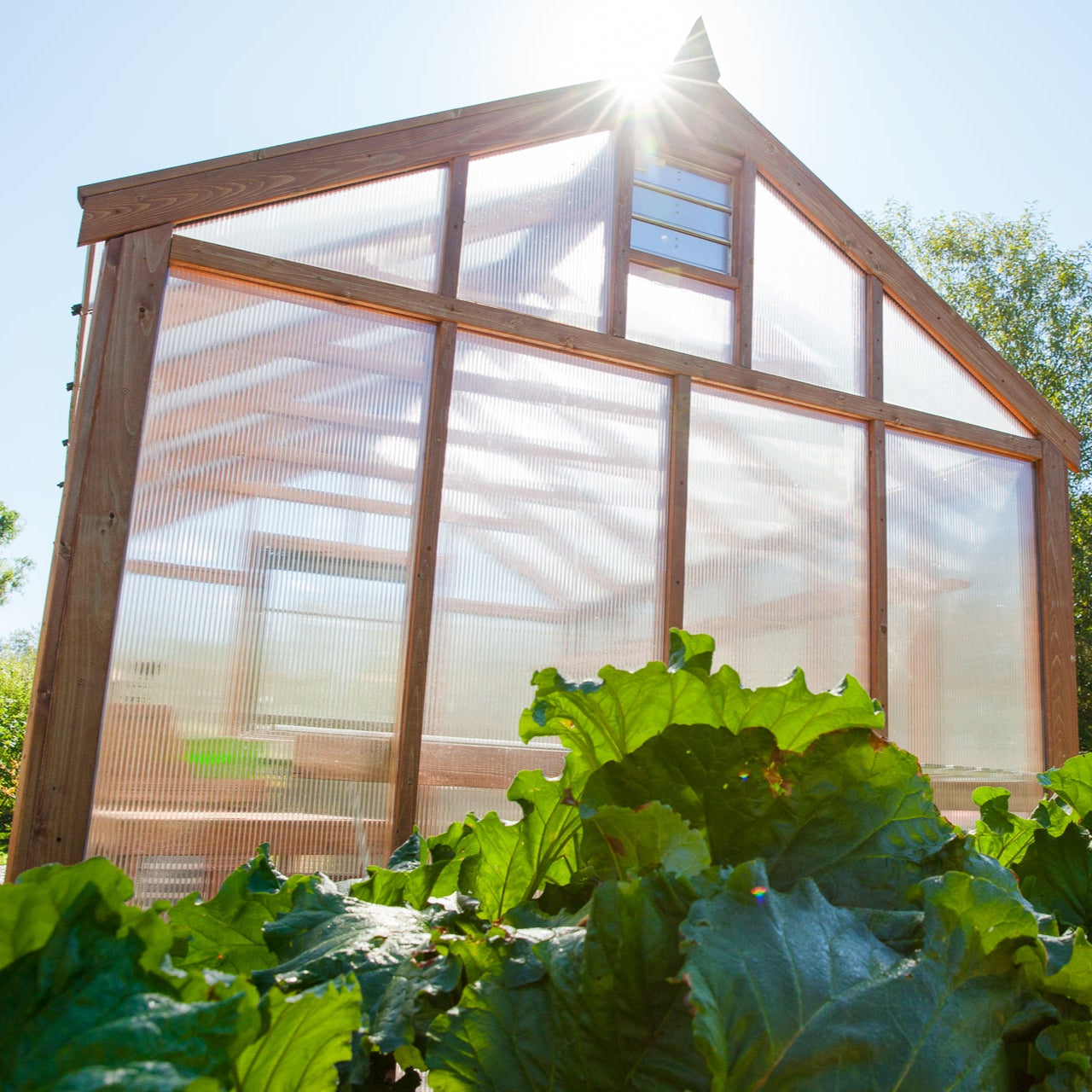 TopQuality Greenhouses & Garden Supplies Charley's Garden Store