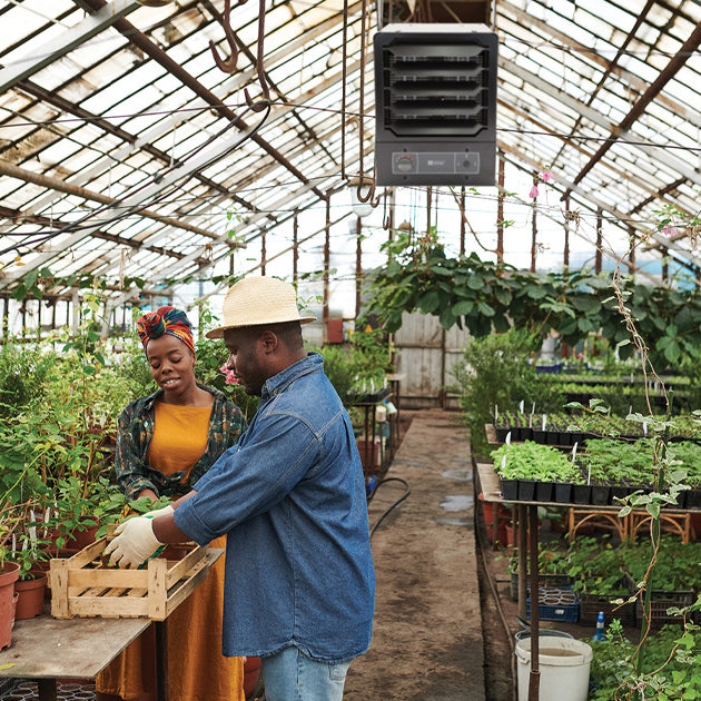 Charley's King Super Heater Series 2 240-Volt in working greenhouse