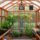Charley's Alpine Insulated Cedar Greenhouse interior - Heritage Wood Greenhouse from Charley's Greenhouse & Garden