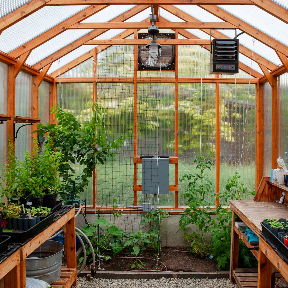 Charley's Alpine Insulated Cedar Greenhouse interior - Heritage Wood Greenhouse from Charley's Greenhouse & Garden