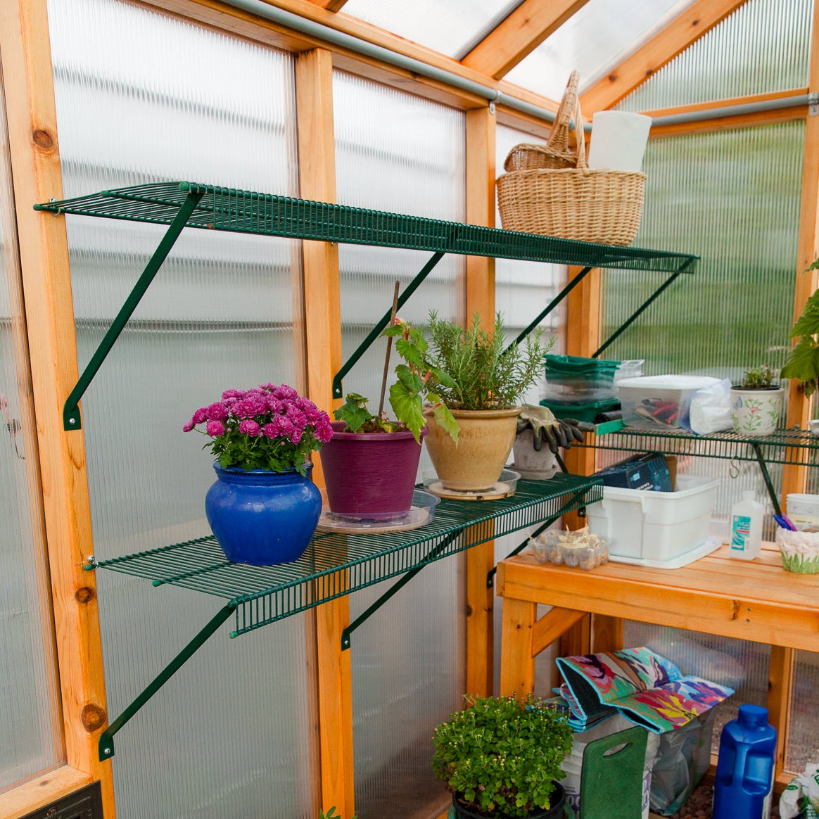 hanging shelves for plants Charley's Wire Shelf with Braces