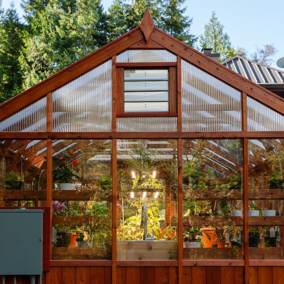 Charley's Alpine Insulated Cedar Greenhouse back exterior wall - Heritage Wood Greenhouse from Charley's Greenhouse & Garden
