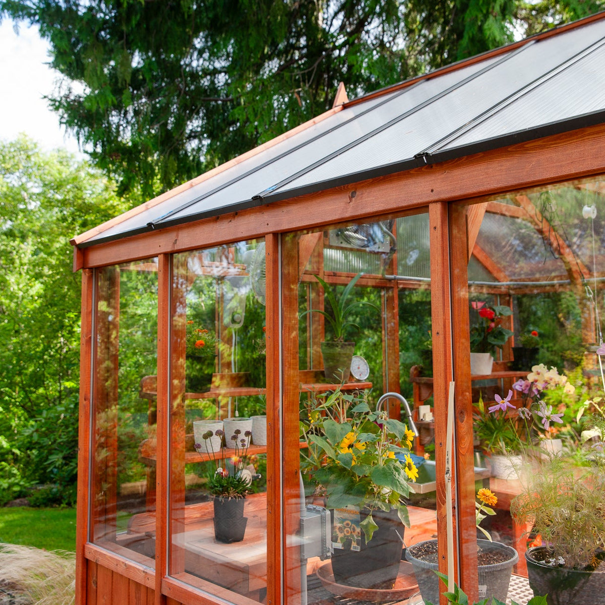 Charley's Alpine Insulated Cedar Greenhouse double glass glazing - Heritage Wood Greenhouse from Charley's Greenhouse & Garden