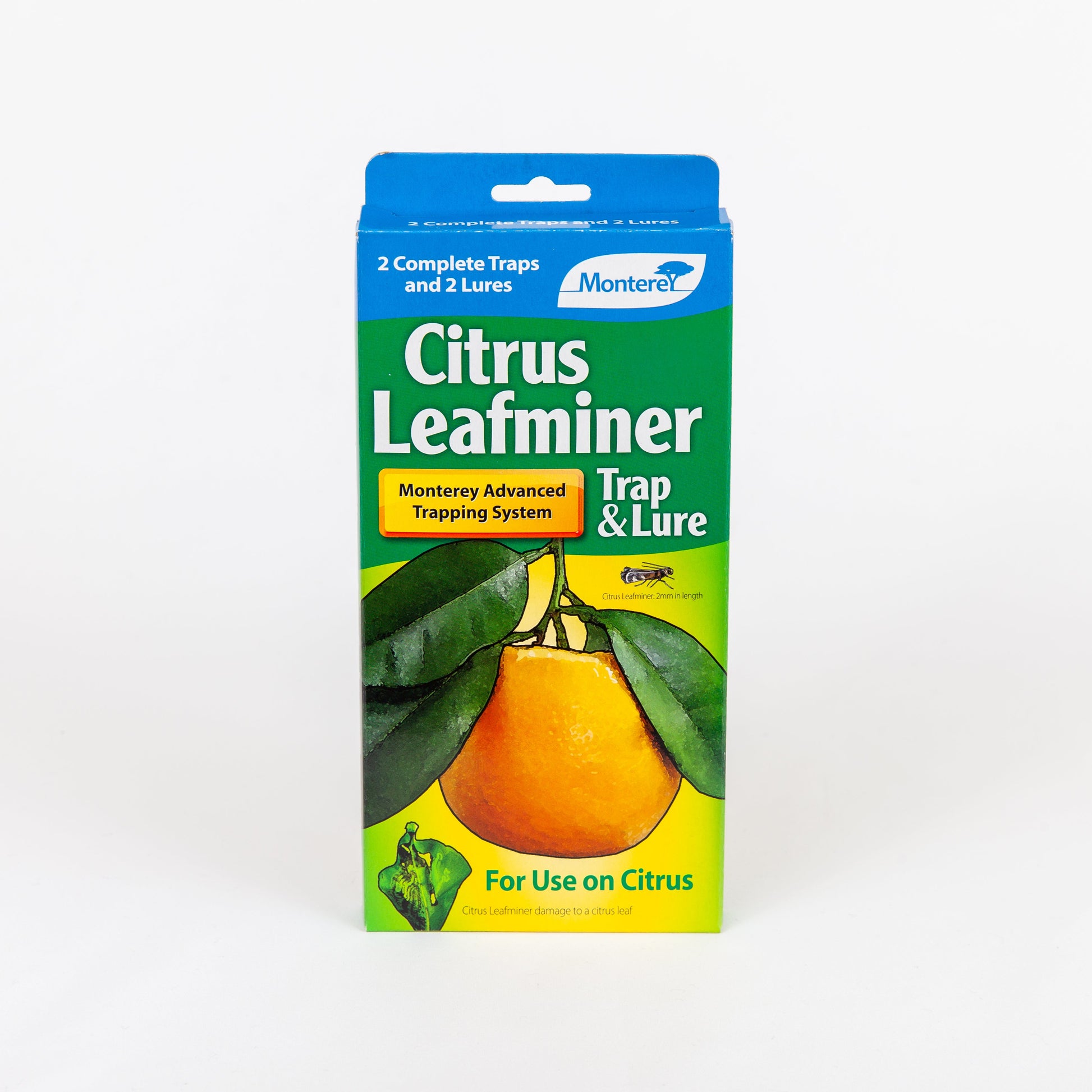 Monterey Citrus Leafminer Trap & Lure