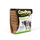 CowPots 12 Pack 3 Inch Square