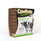 CowPots 12 Pack 4 Inch Square