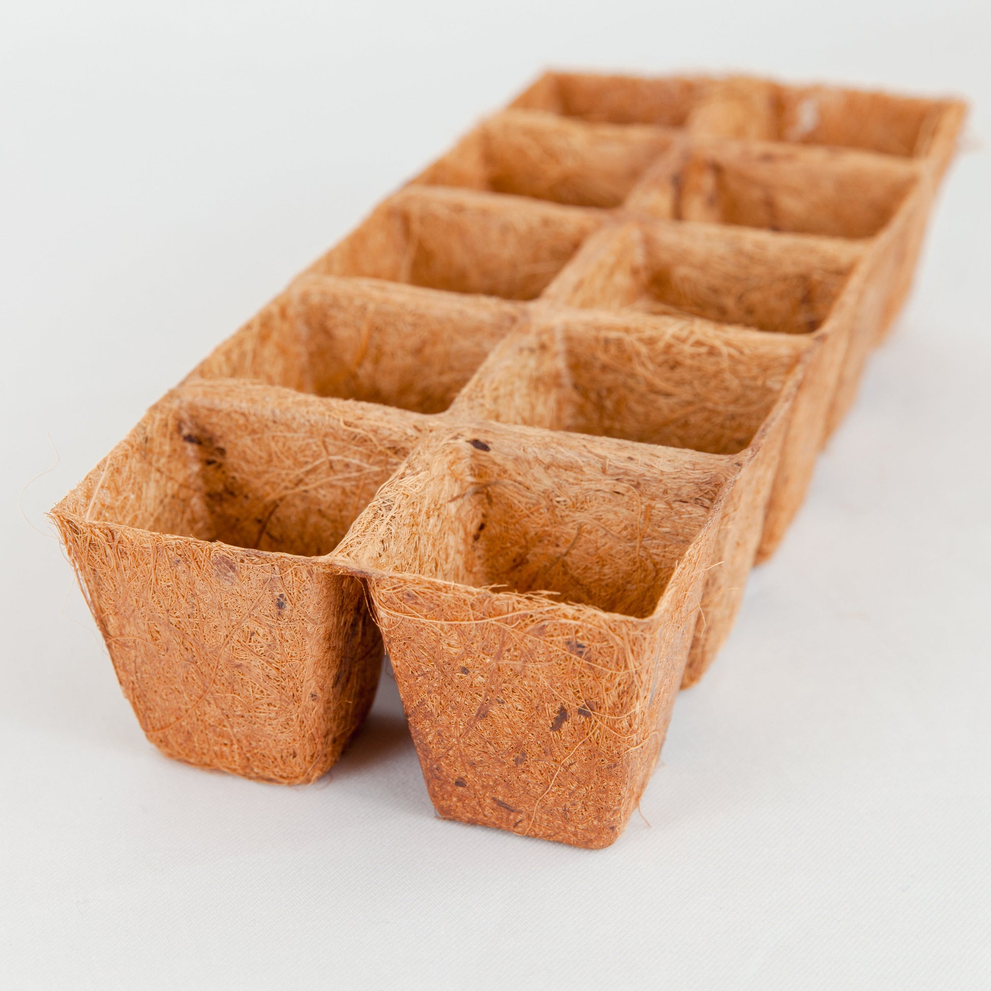 Closeup of single biodegradable PlantBest Coir Pot Refillon a white background