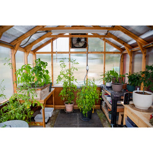 Charley's Alpine Insulated Cedar Greenhouse - Charley's Greenhouse & Garden