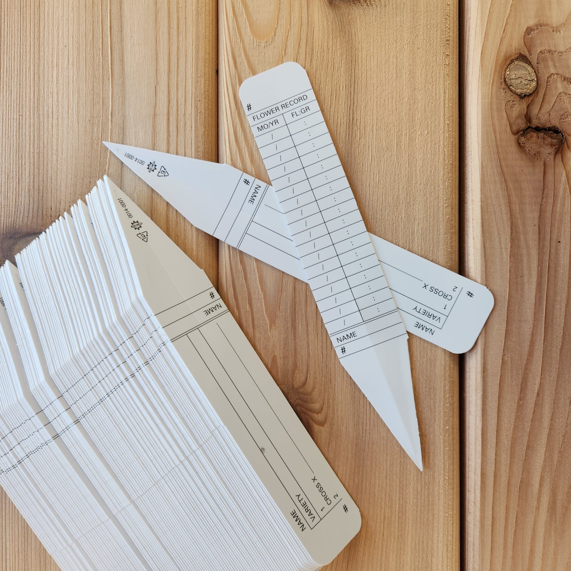 6" Propagator's Plant Labels, pack of 50