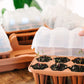 GreenStalk Garden Seed Starter Kit with Domes