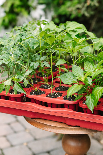 GreenStalk Garden Seed Starter Kit with Domes