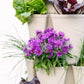 5 Tier GreenStalk Garden Original Vertical Planter - Basket Weave Texture