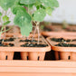 GreenStalk Garden Seed Starter Kit with Domes
