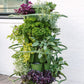 GreenStalk Garden Plant Support (Set of 3)