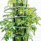 GreenStalk Garden Plant Support (Set of 3)