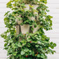 7 Tier GreenStalk Garden Leaf Vertical Planter - Basic Texture